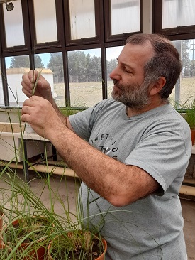 Dr. Diego Zappacosta